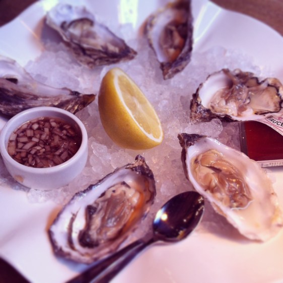 rock oysters